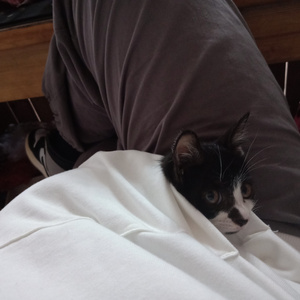 国产精品无码在线观看
