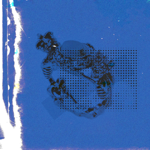 国产精品无码在线观看
